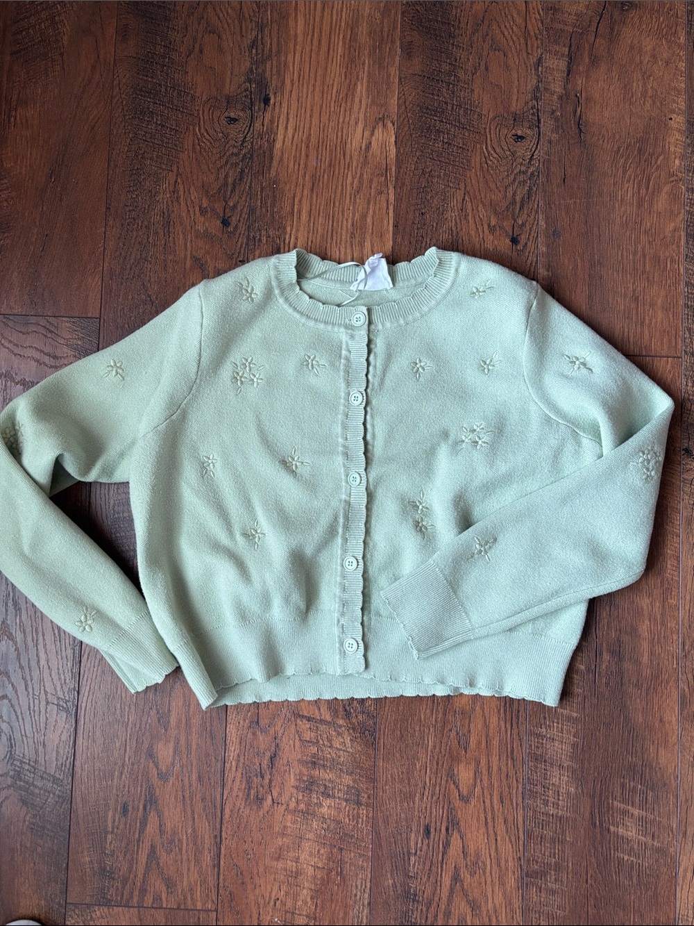 Mint Crewneck Button-Front Embroidered Cardigan